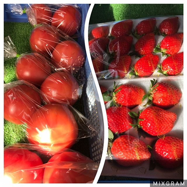 今日もいちごの直売所へ行ってきました～トマトもおすすめです。藍川園芸さん～